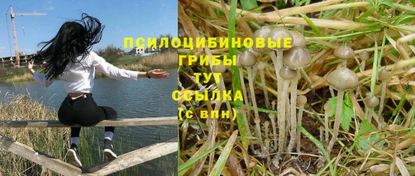ECSTASY Балахна