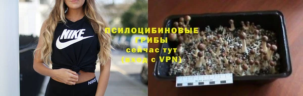 ECSTASY Балахна