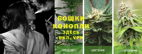 дживик Рославль